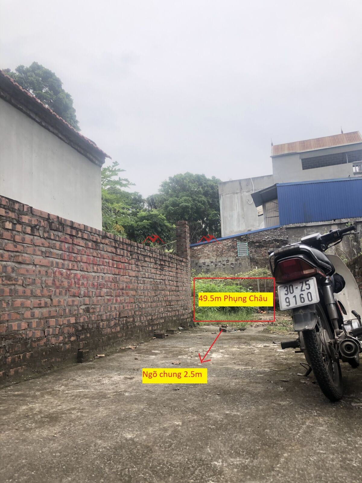 49.5m Phụng Châu – Chương Mỹ – Hà Nội