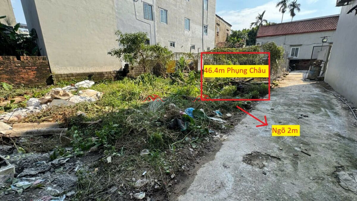 46.4m Phụng Châu – Chương Mỹ – Hà Nội