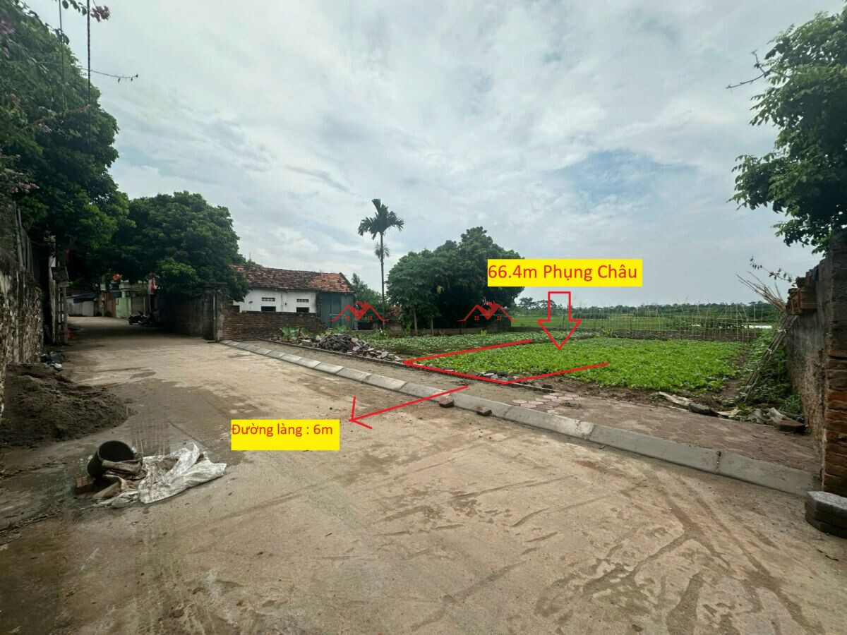 66.4m Phụng Châu – Chương Mỹ – Hà Nội