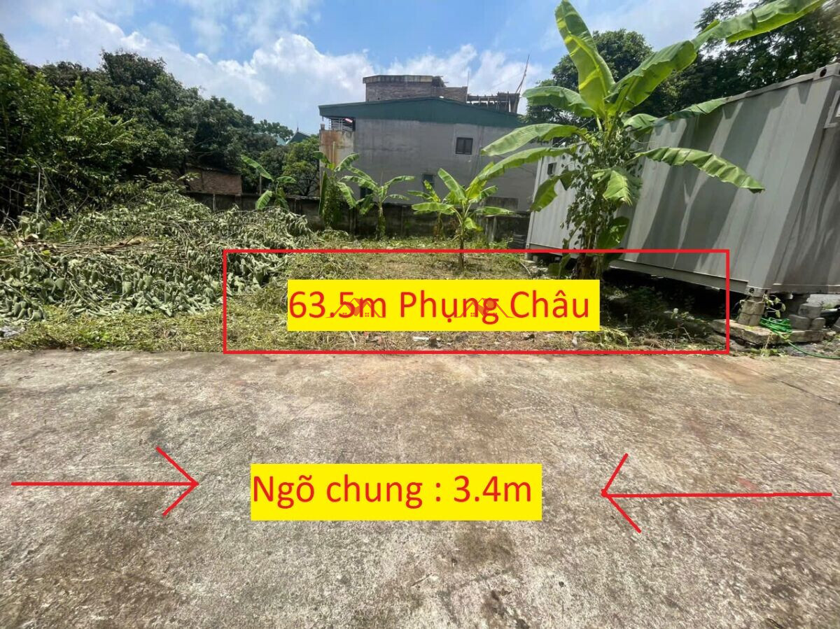 63.5m Phượng Đồng – Phụng Châu – Chương Mỹ – Hà Nội