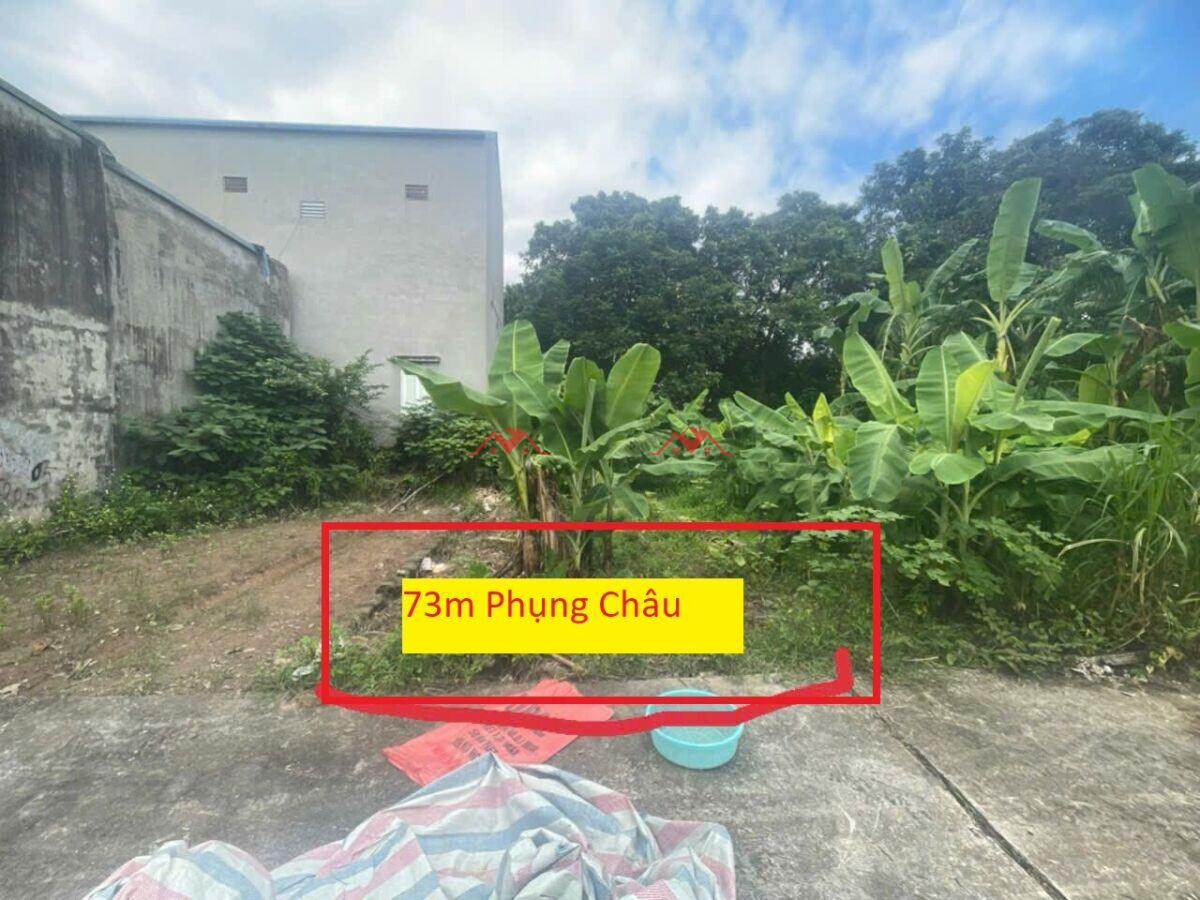 73m Phượng Đồng – Phụng Châu – Chương Mỹ – Hà Nội