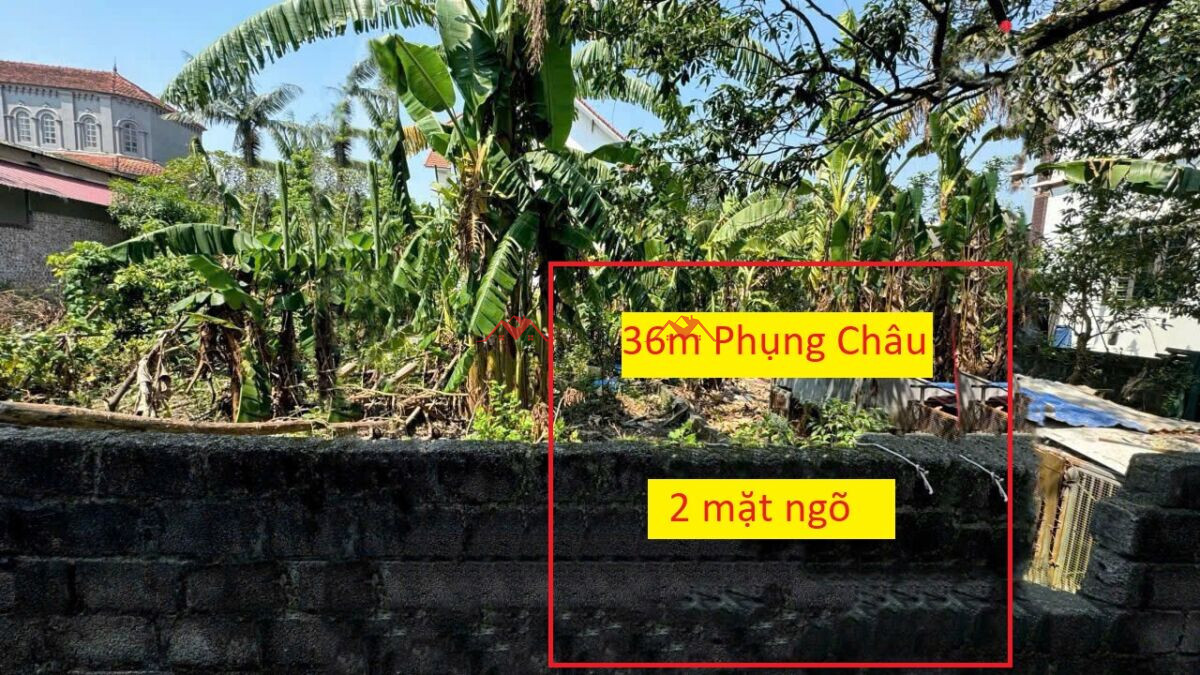 36m Phượng Đồng – Phụng Châu – Chương Mỹ