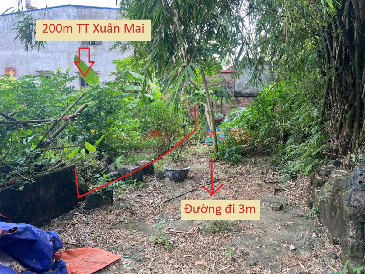 200m TT Xuân Mai – Chương Mỹ – Hà Nội