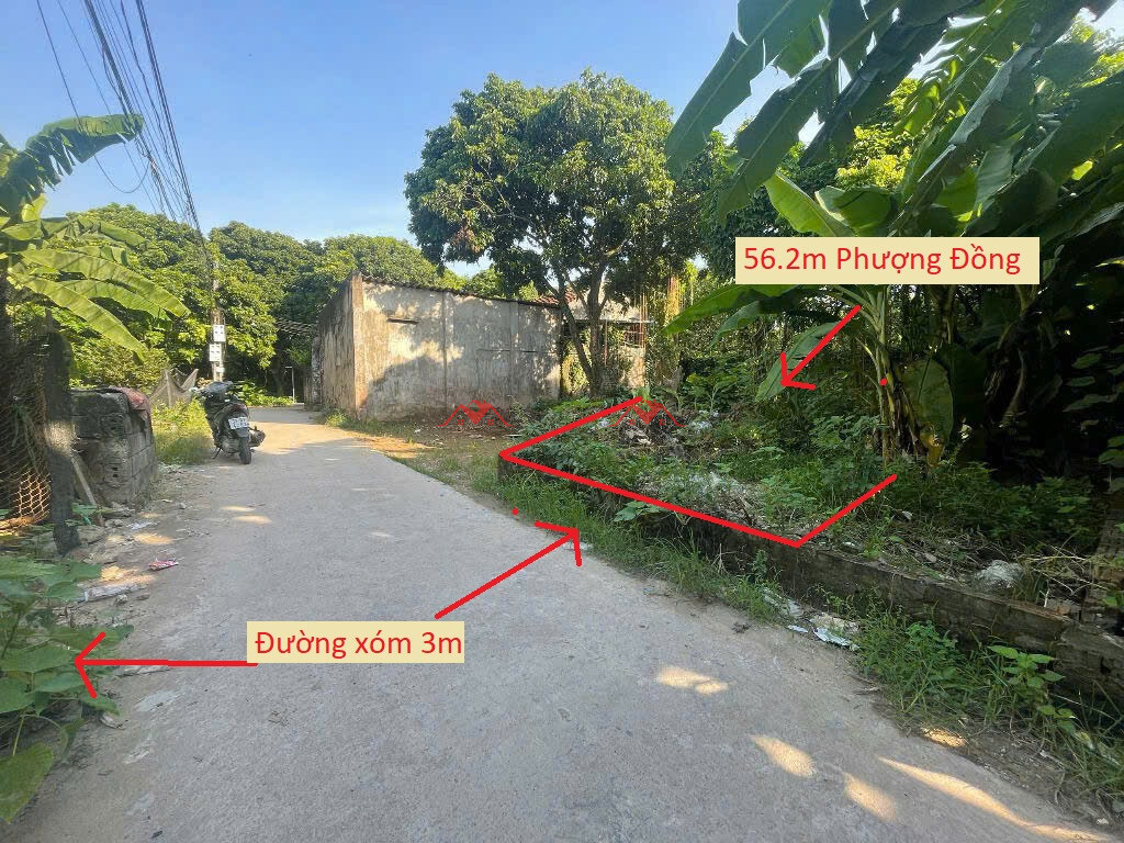 56.2m Phượng Đồng – Phụng Châu – Chương Mỹ – Hà Nội