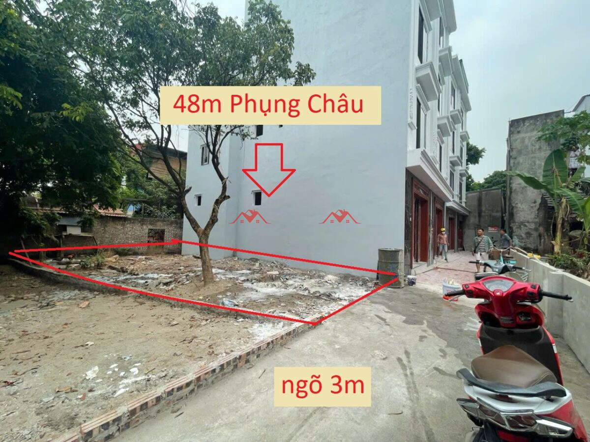 48m T409 Phượng Đồng – Phụng Châu – Chương Mỹ – Hà Nội
