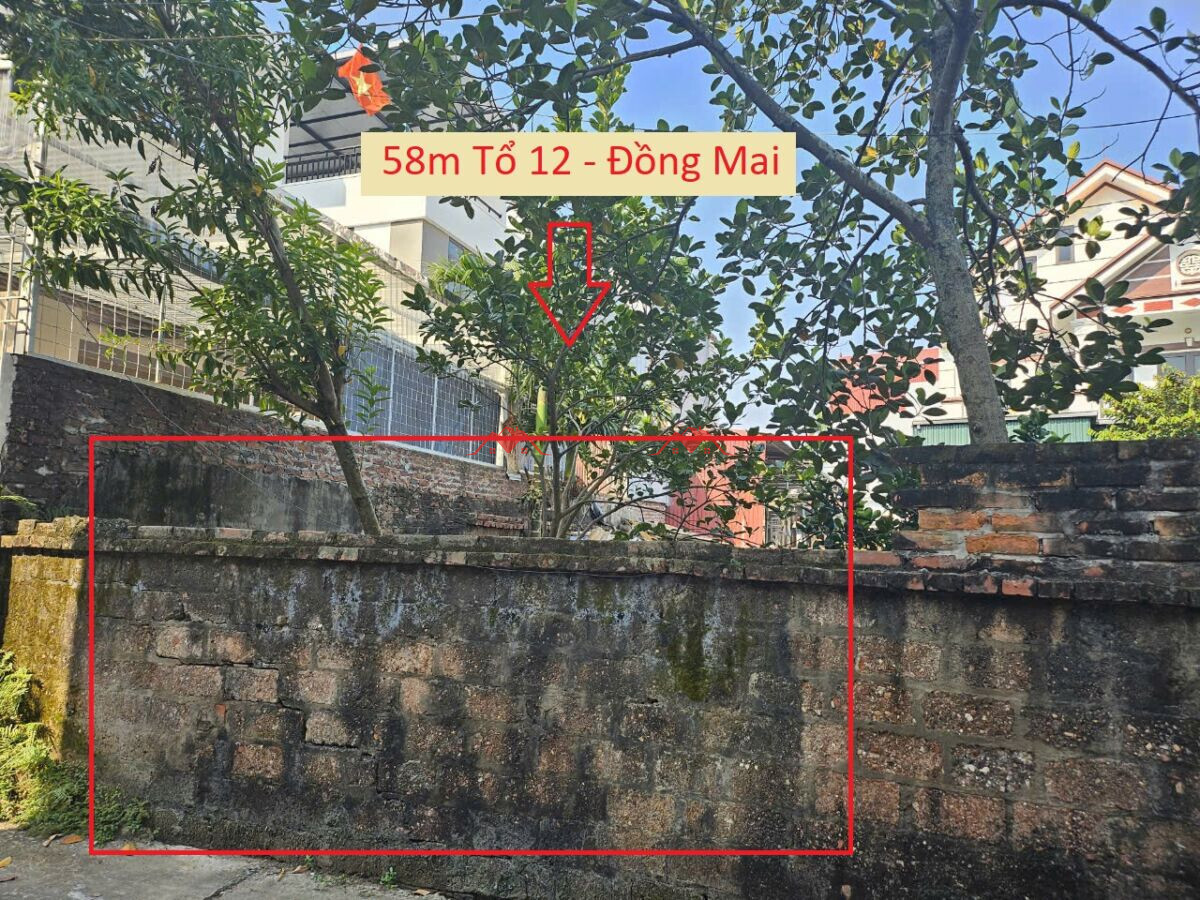 58m Tổ 12 – Đồng Mai – Hà Đông