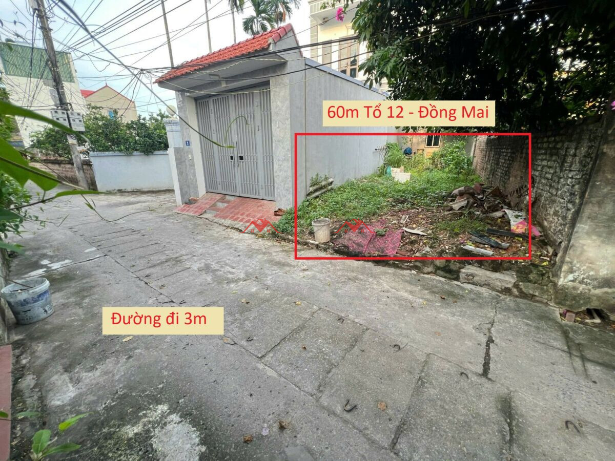 60m Tổ 12 – Đồng Mai – Hà Đông