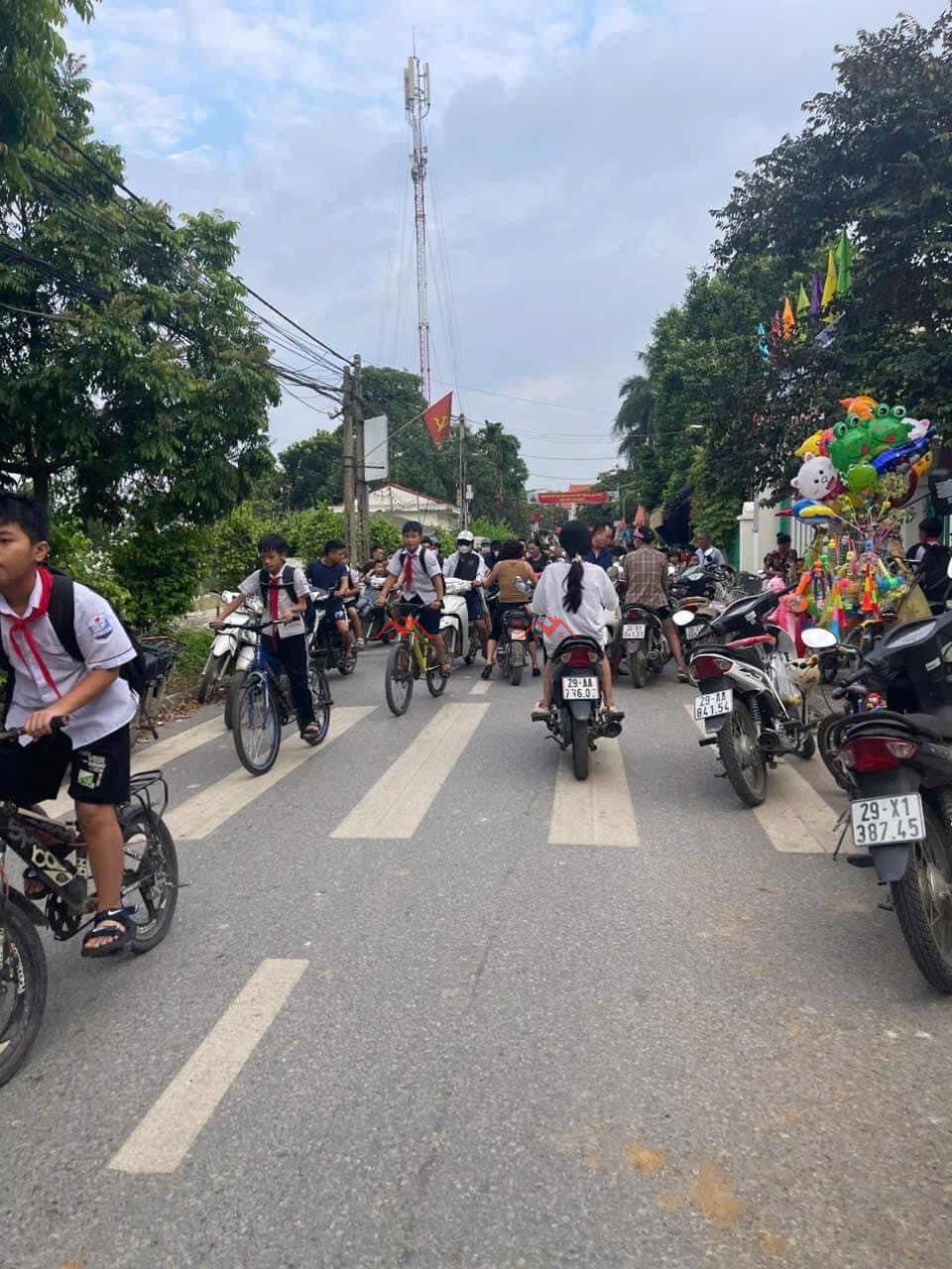 59m Phú Nghĩa. Chương Mỹ. Hà Nội