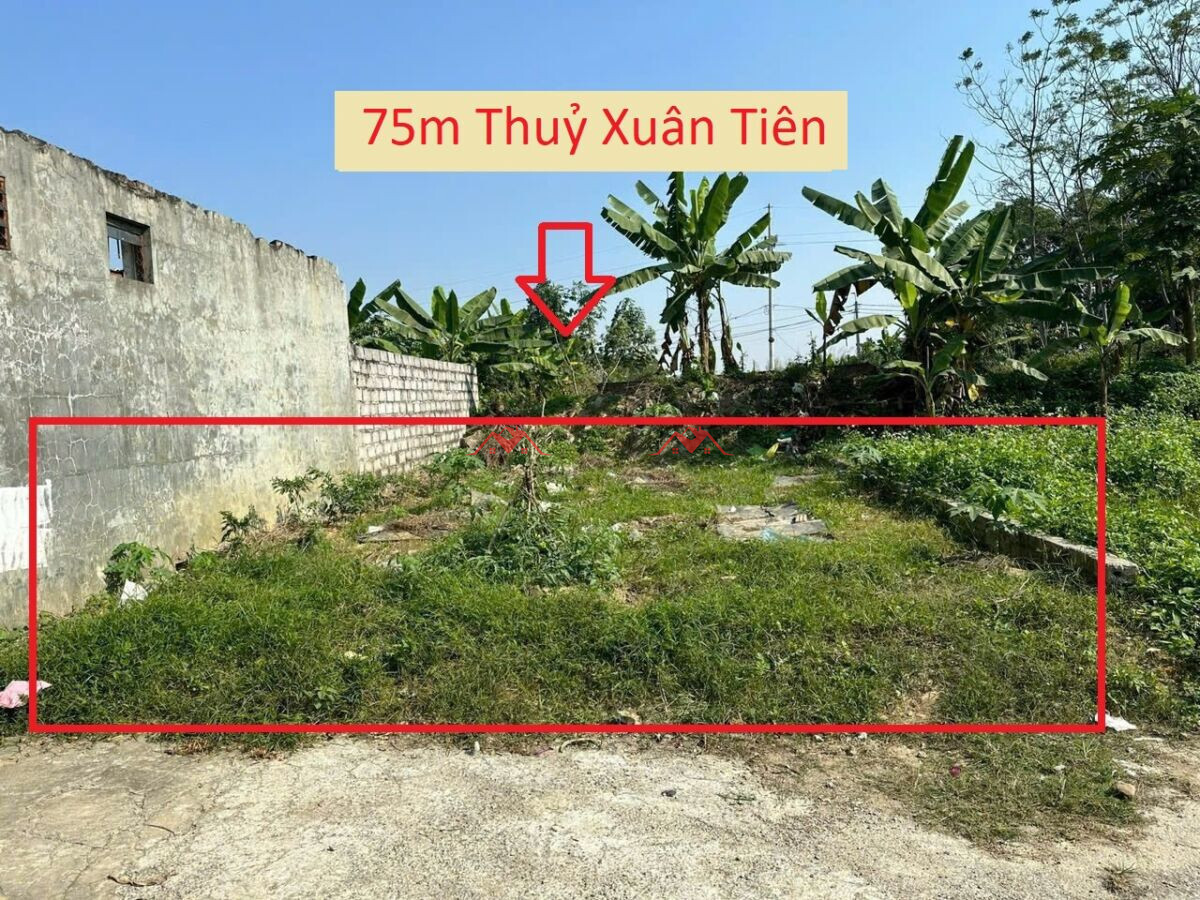 75m Đồi K6 Thuỷ Xuân Tiên – Chương Mỹ – Hà Nội