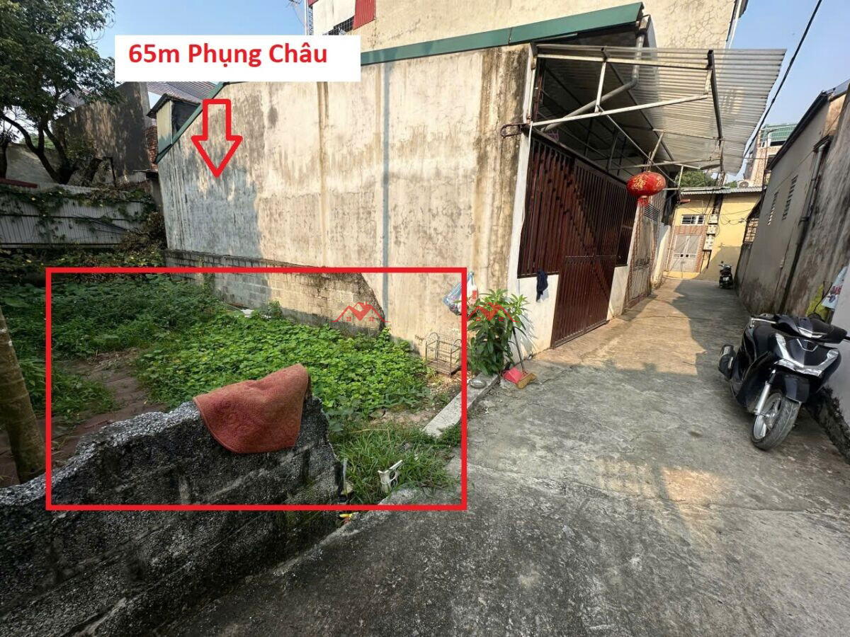 65m Phượng Đồng – Phụng Châu – Chương Mỹ – Hà Nội