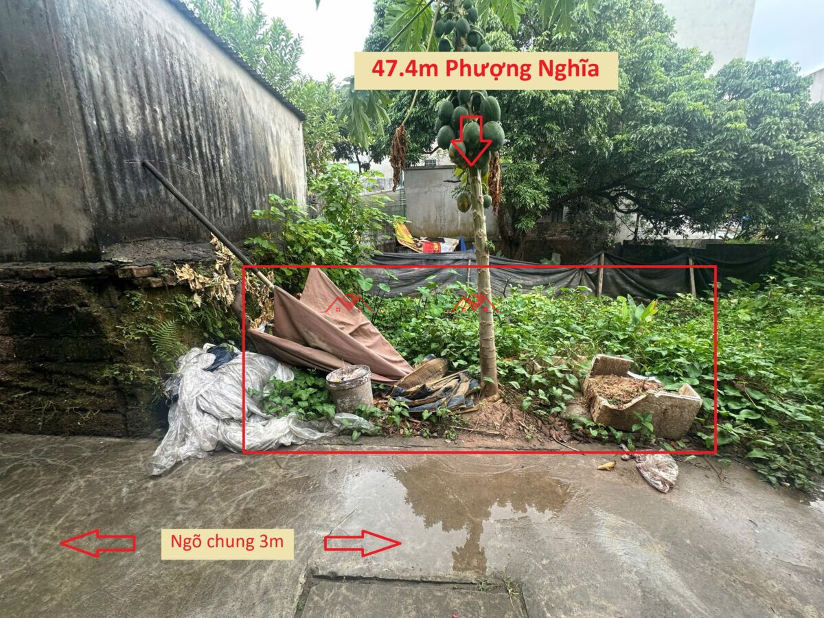 47.4m Phượng Nghĩa – Phụng Châu – Chương Mỹ – Hà Nội