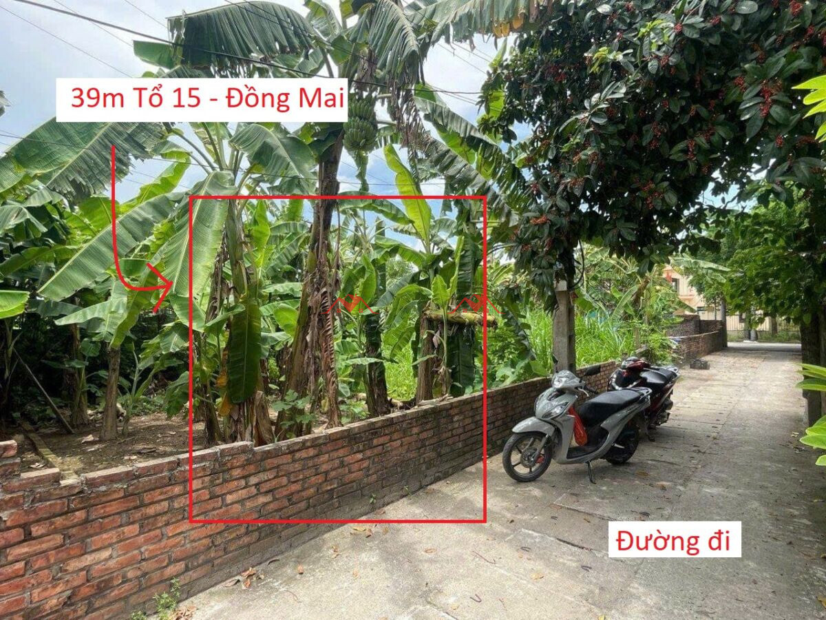 39m Tổ 15 – Phường Đồng Mai – Hà Đông