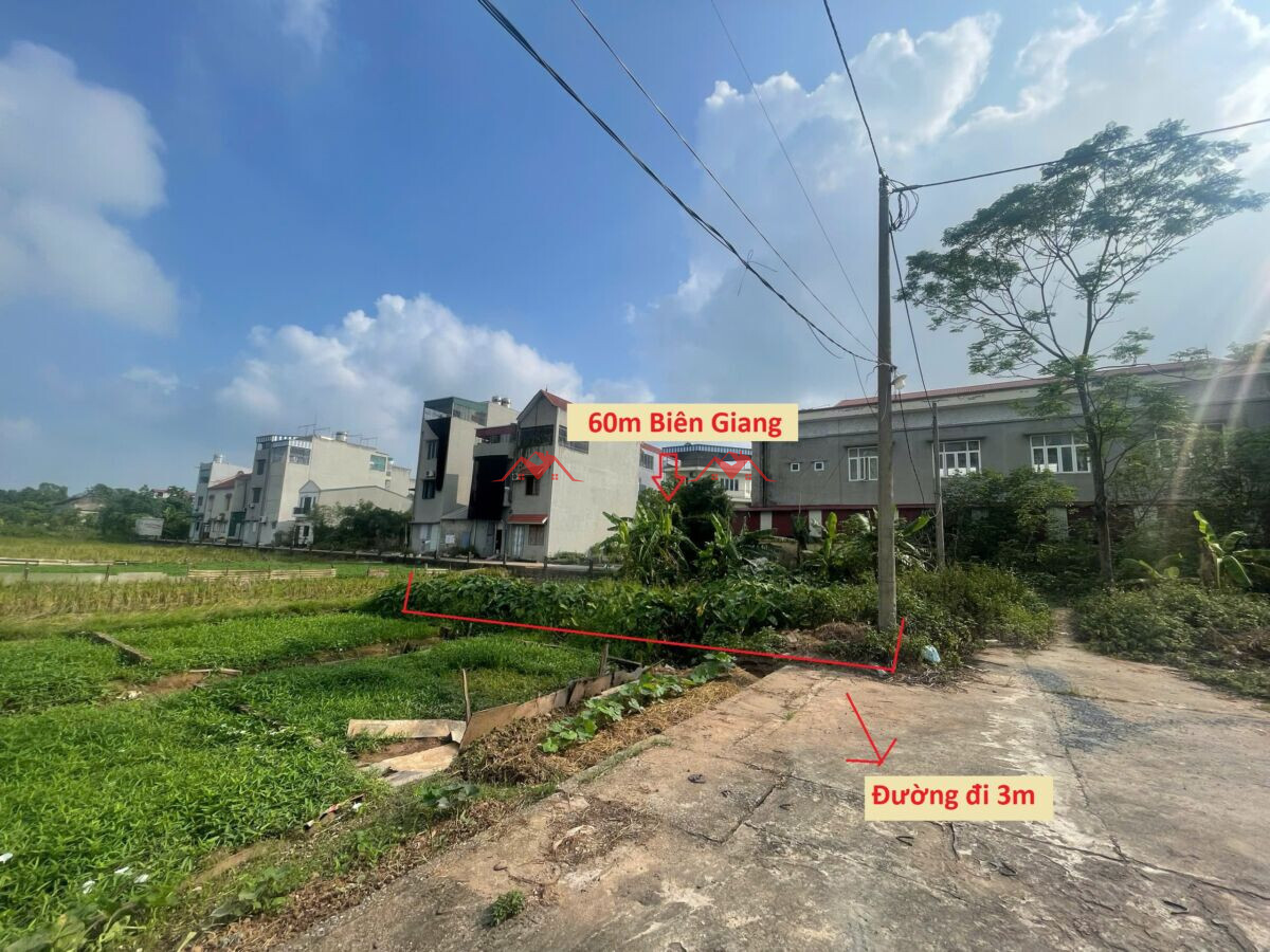 60m2 Khu đấu giá Phúc Tiến – Biên Giang – Hà Đông