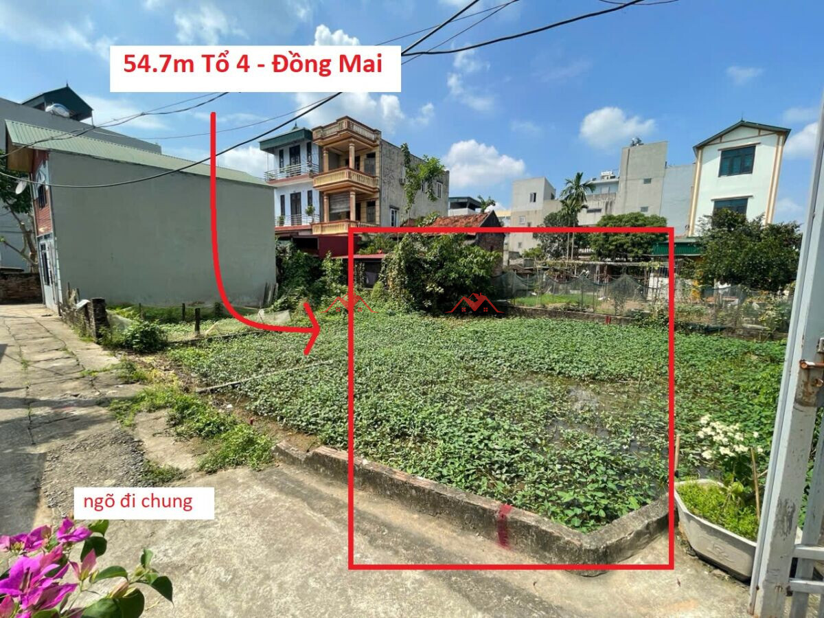 54.7m Tổ 4 – Đồng Mai – Hà Đông