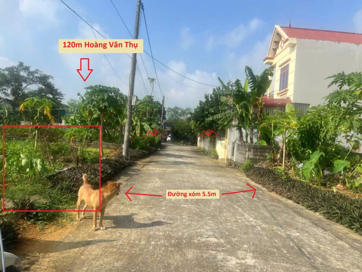 120m Thửa 1 Hoàng Văn Thụ – Chương Mỹ – Hà Nội