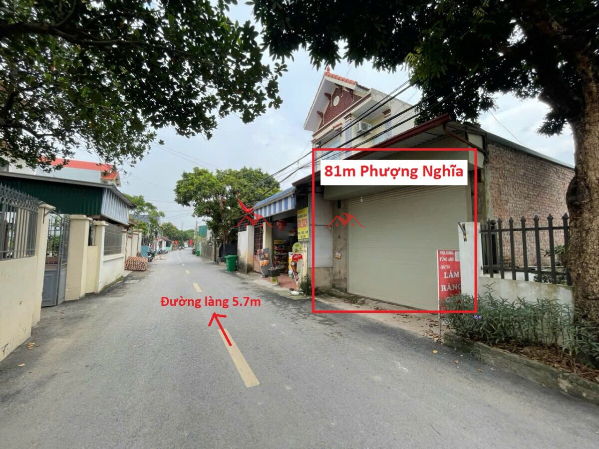 81m Phượng Nghĩa – Phụng Châu – Chương Mỹ – Hà Nội
