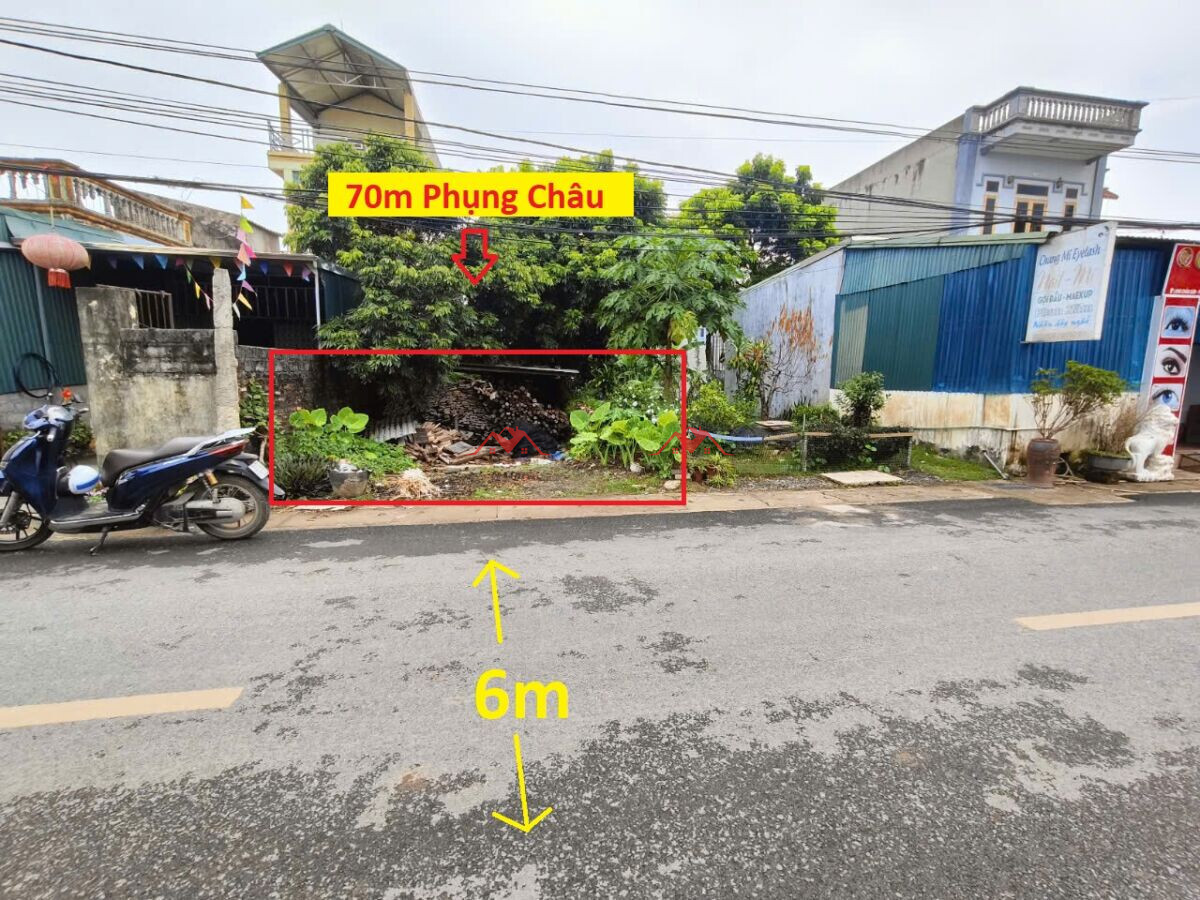 70m Long Châu – Phụng Châu – Chương Mỹ – Hà Nội