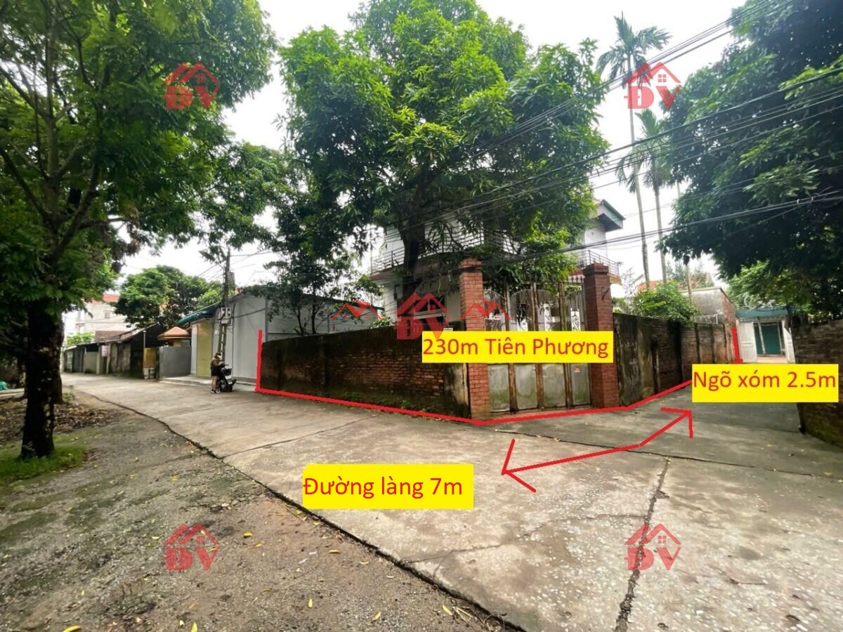 230m Tiên Phương – Chương Mỹ – Hà Nội