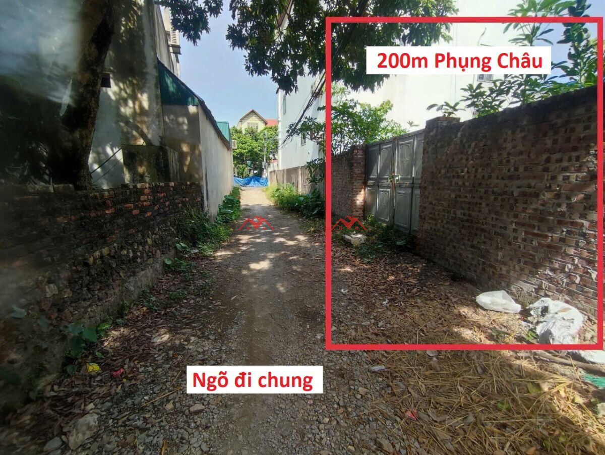 200m Long Châu – Phụng Châu – Chương Mỹ – Hà Nội