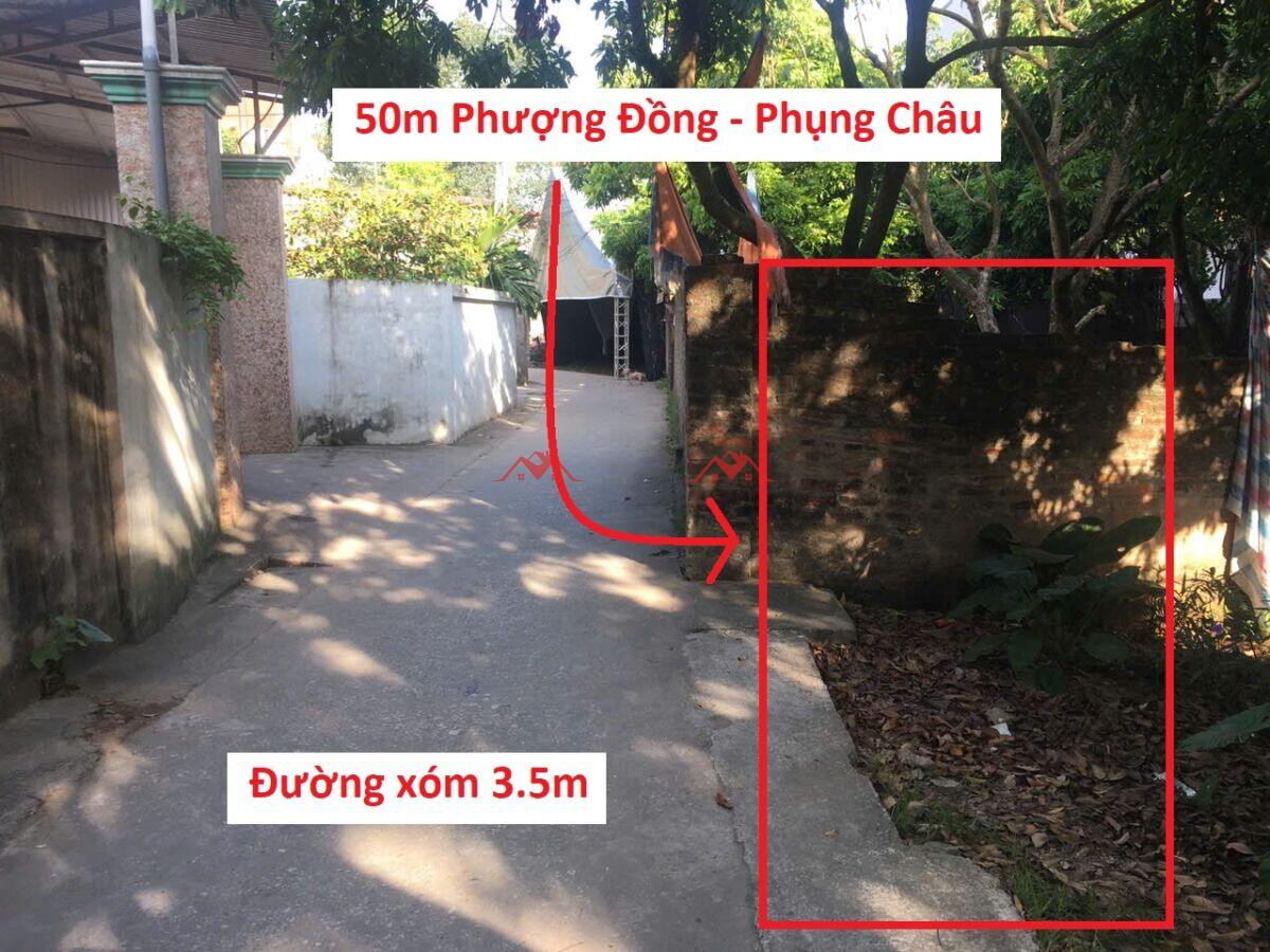 50m Phượng Đồng – Phụng Châu – Chương Mỹ – Hà Nội