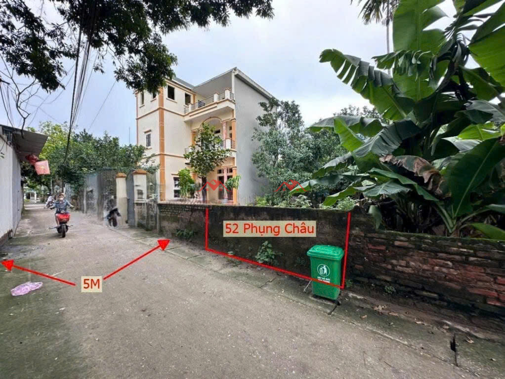 52m Phượng Đồng – Phụng Châu – Chương Mỹ – Hà Nội