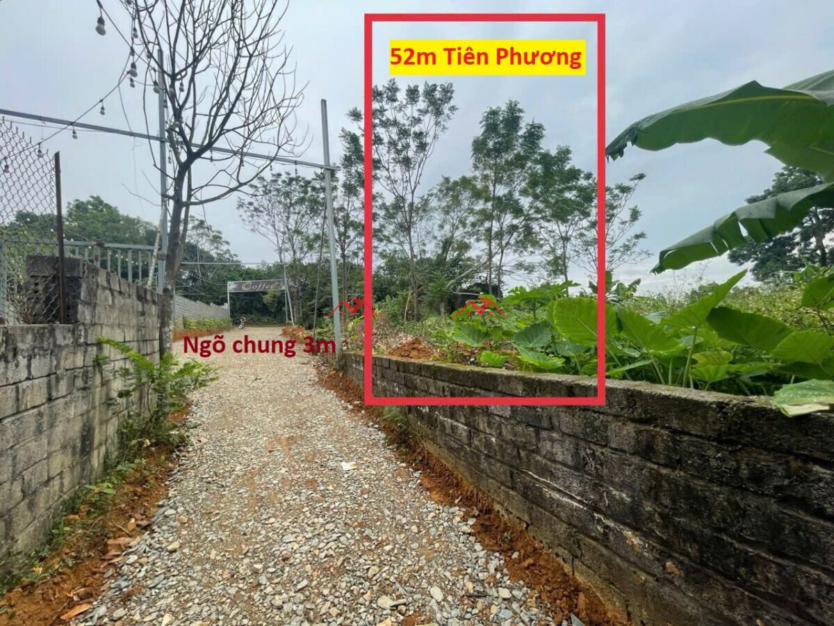 52m Cao Sơn – Tiên Phương – Chương Mỹ – Hà Nội