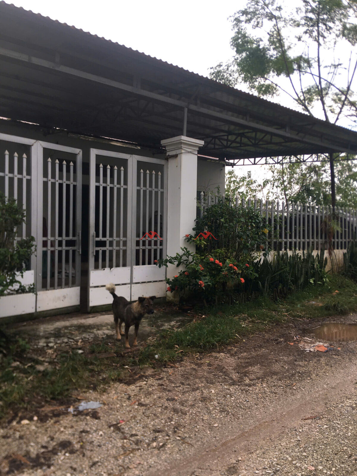 675m Cốc Thượng – Hoàng Diệu – Chương Mỹ – Hà Nội