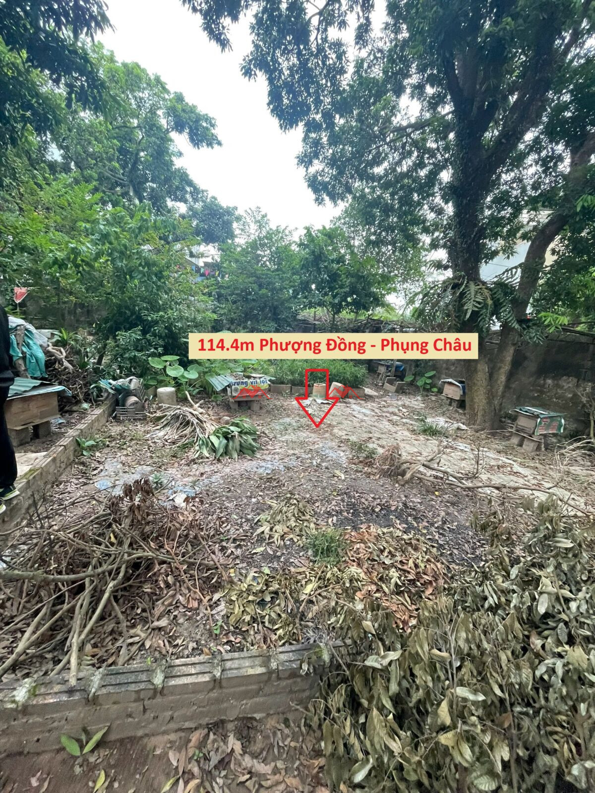 114.4m Phượng Đồng – Phụng Châu – Chương Mỹ – Hà Nội