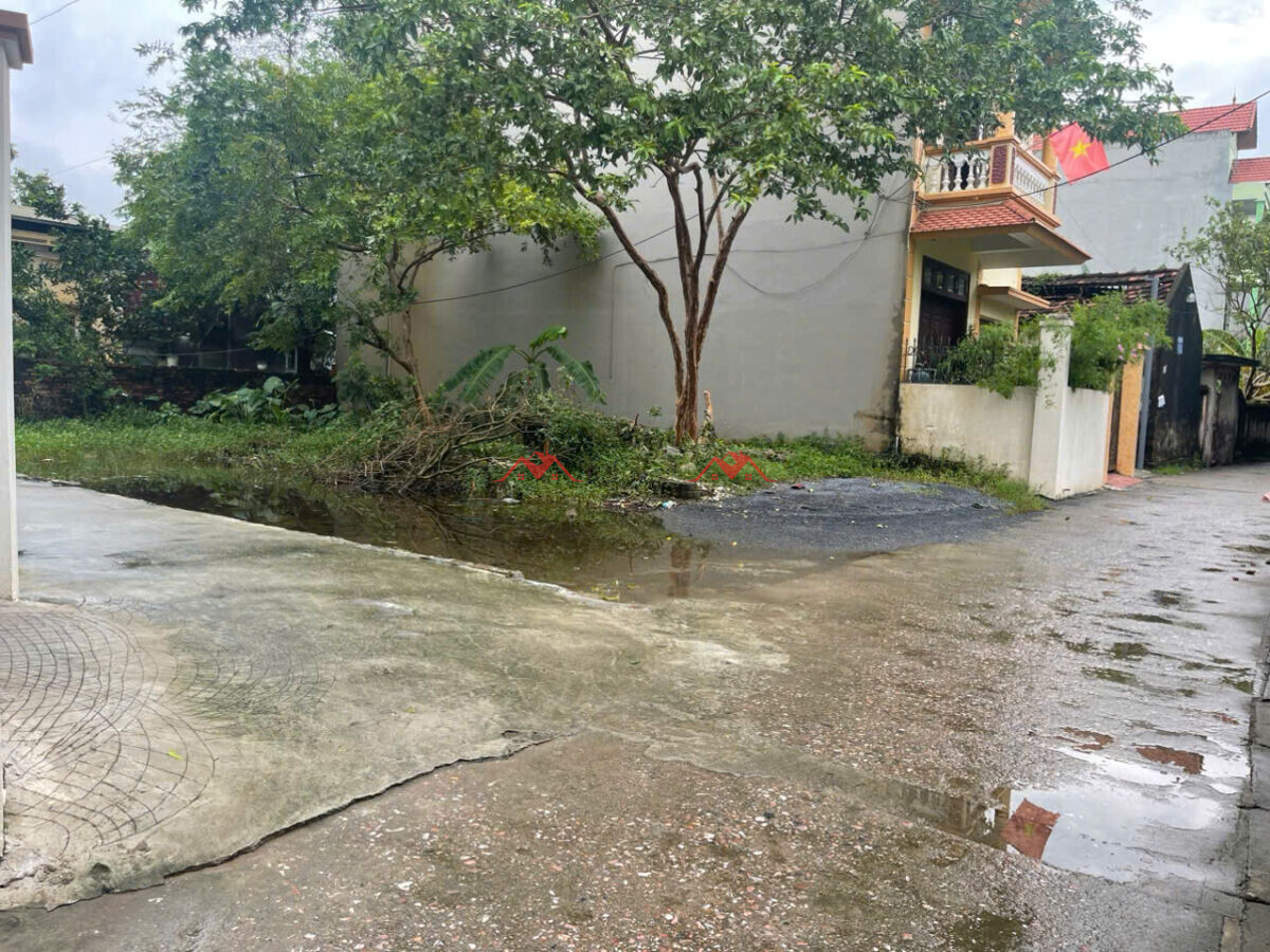 43.7m Lô Góc  Phượng Nghĩa – Phụng Châu – Chương Mỹ – Hà Nội