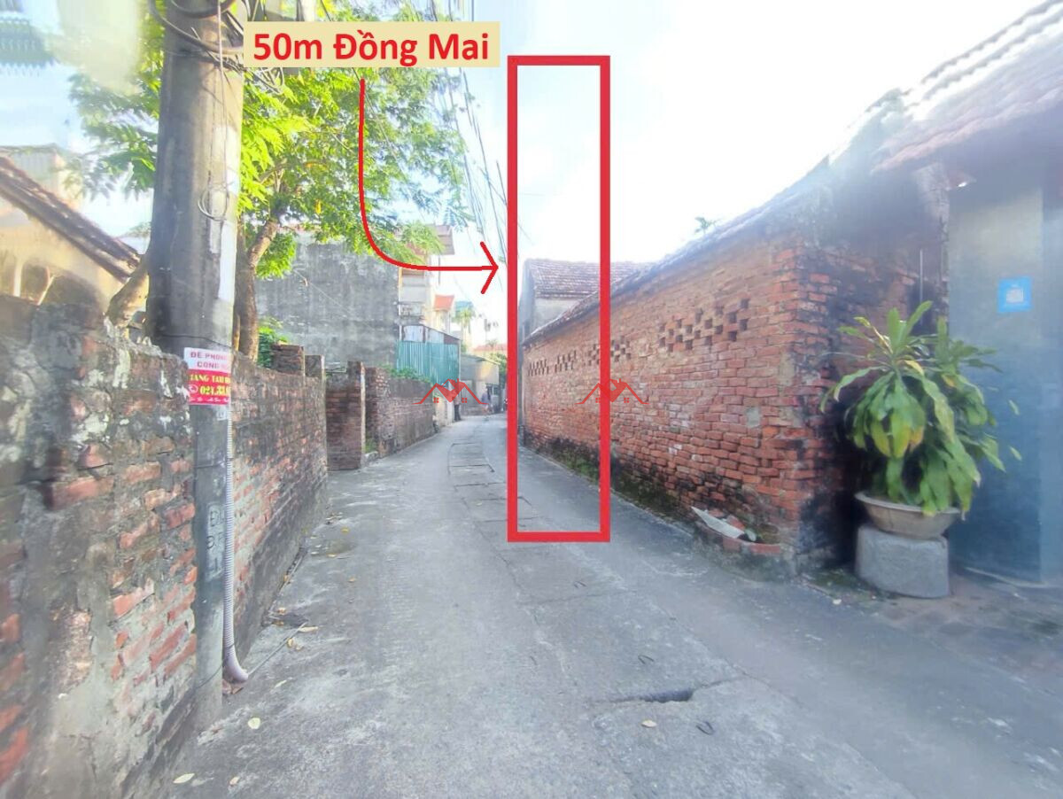 50m Đồng Dương – Đồng Mai – Hà Đông