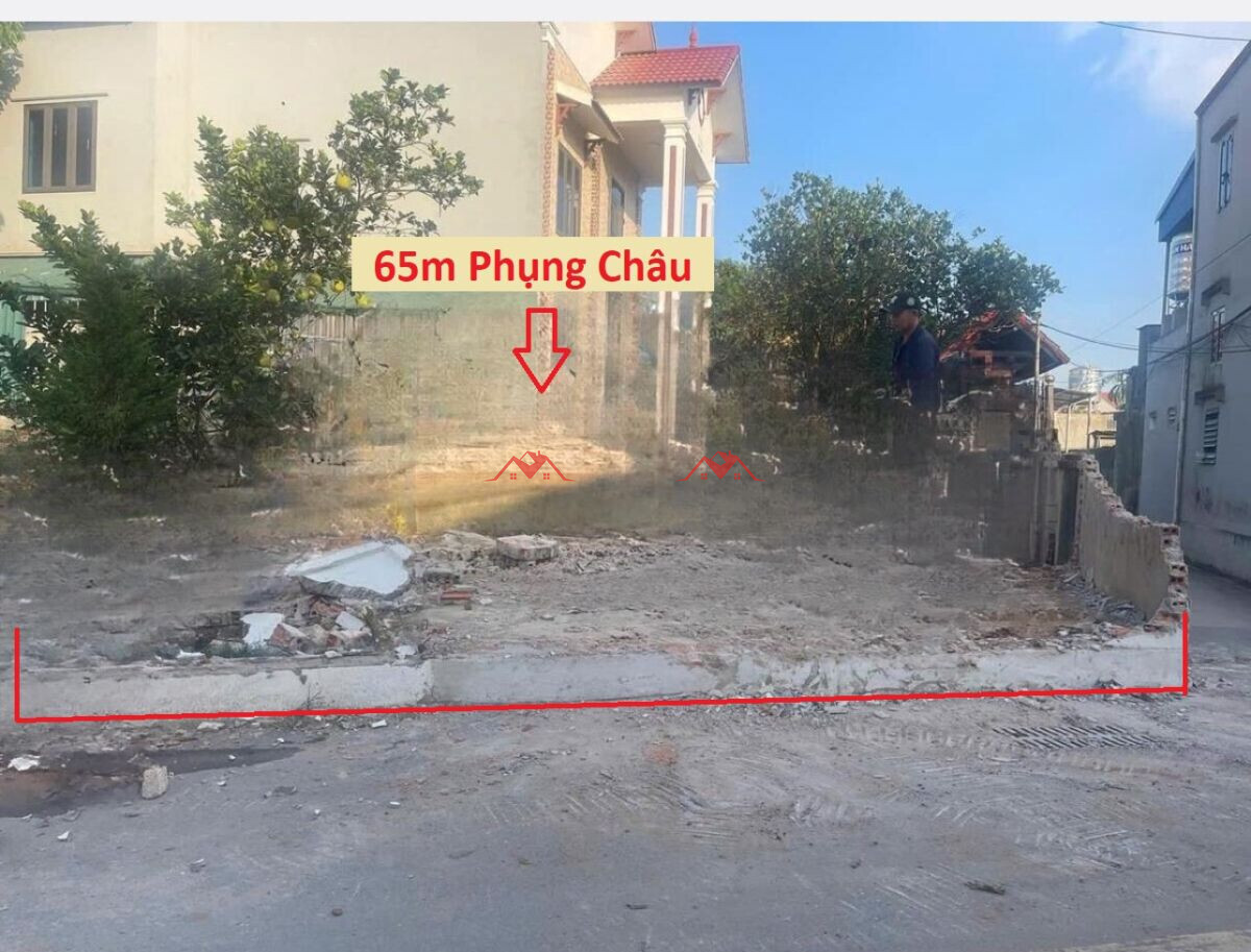 65m Phượng Bản – Phụng Châu – Chương Mỹ – Hà Nội