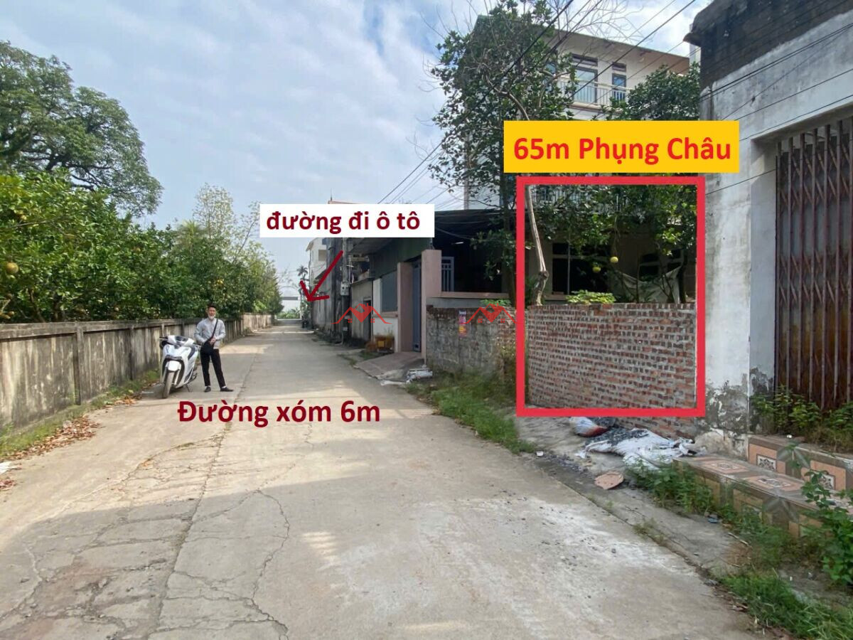 65m Phượng Bản – Phụng Châu – Chương Mỹ – Hà Nội