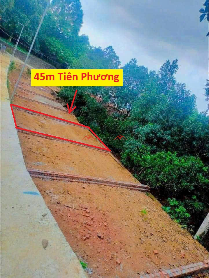 45m Sơn Đồng – Tiên Phương – Chương Mỹ – Hà Nội