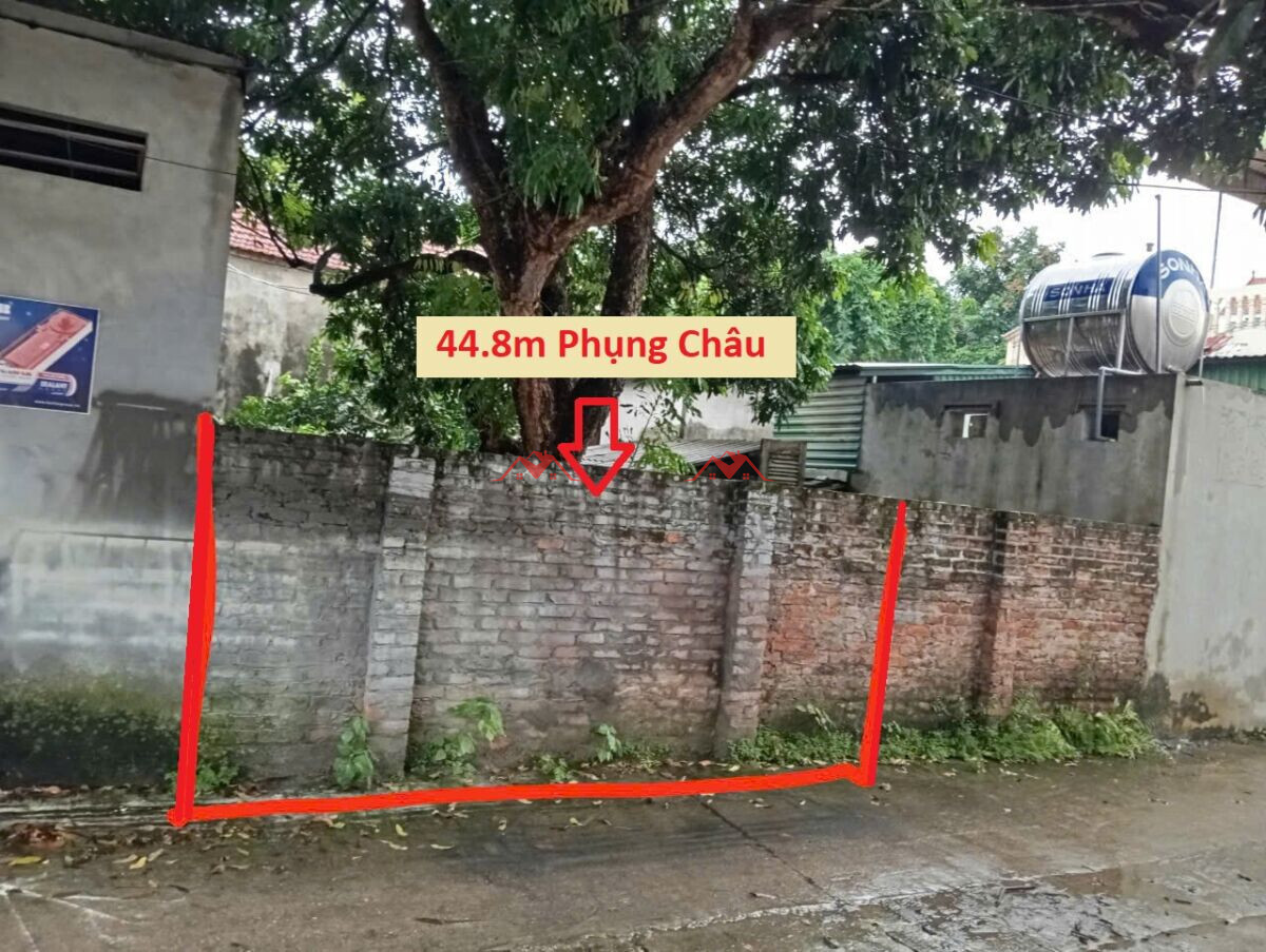 44.8m Phượng Nghĩa – Phụng Châu – Chương Mỹ – Hà Nội