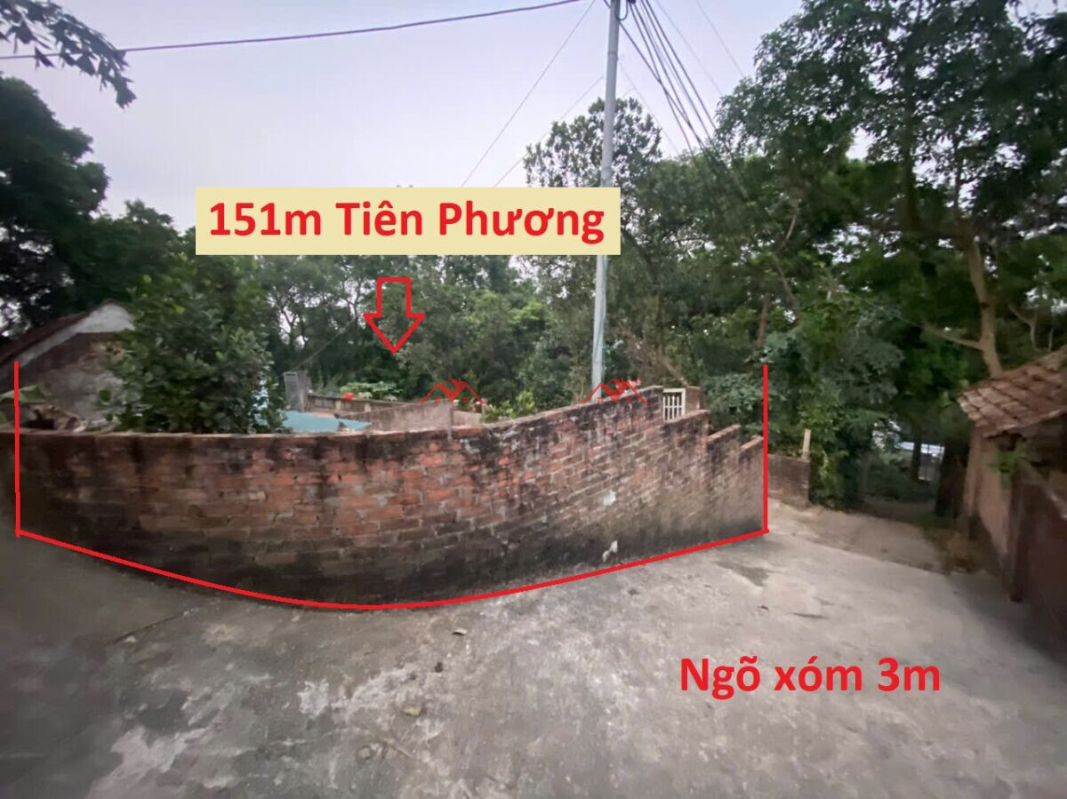 151m Đồng Nanh – Tiên Phương – Chương Mỹ – Hà Nội