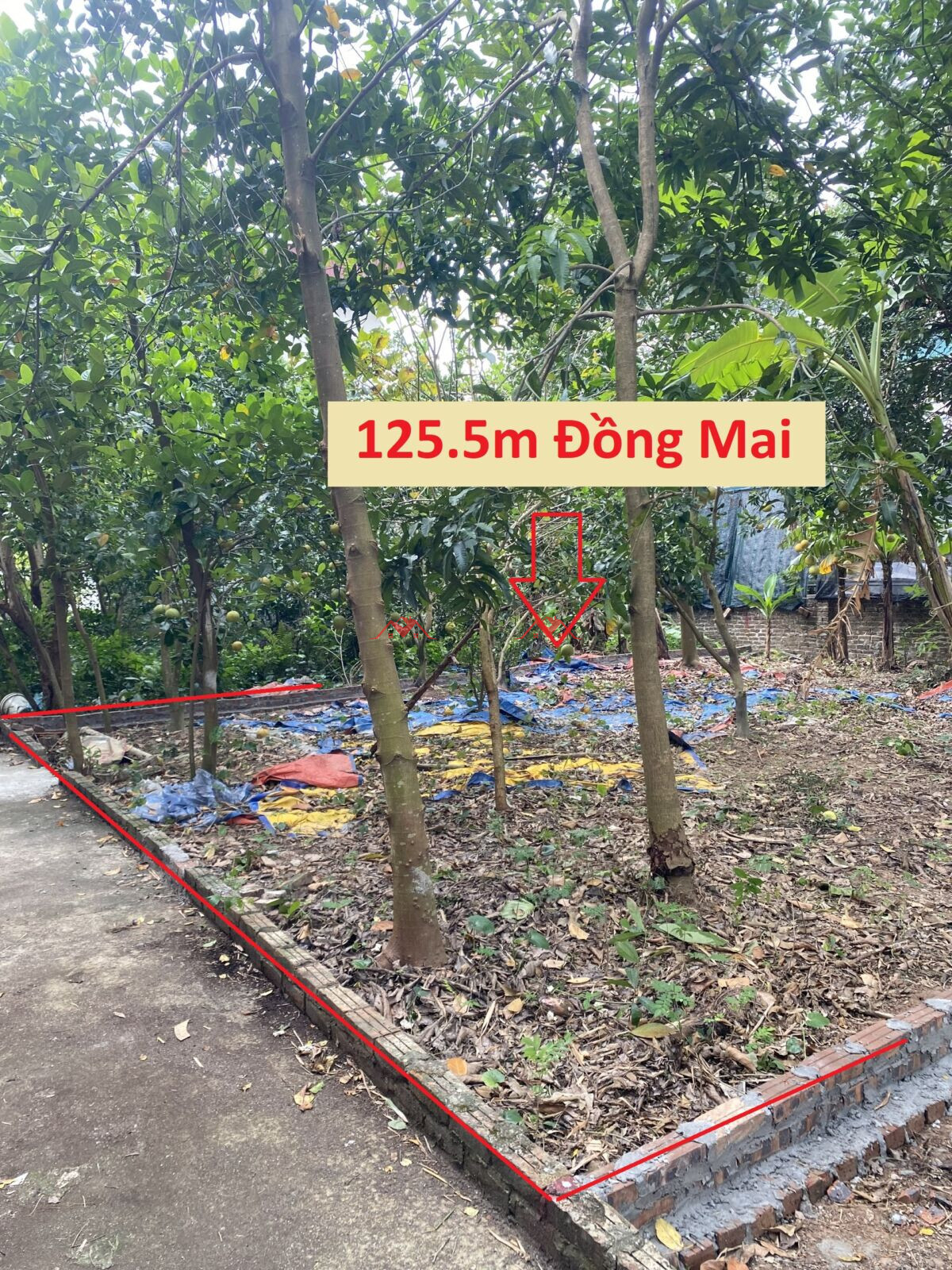 125.5m Tổ 10 – Đồng Mai – Hà Đông