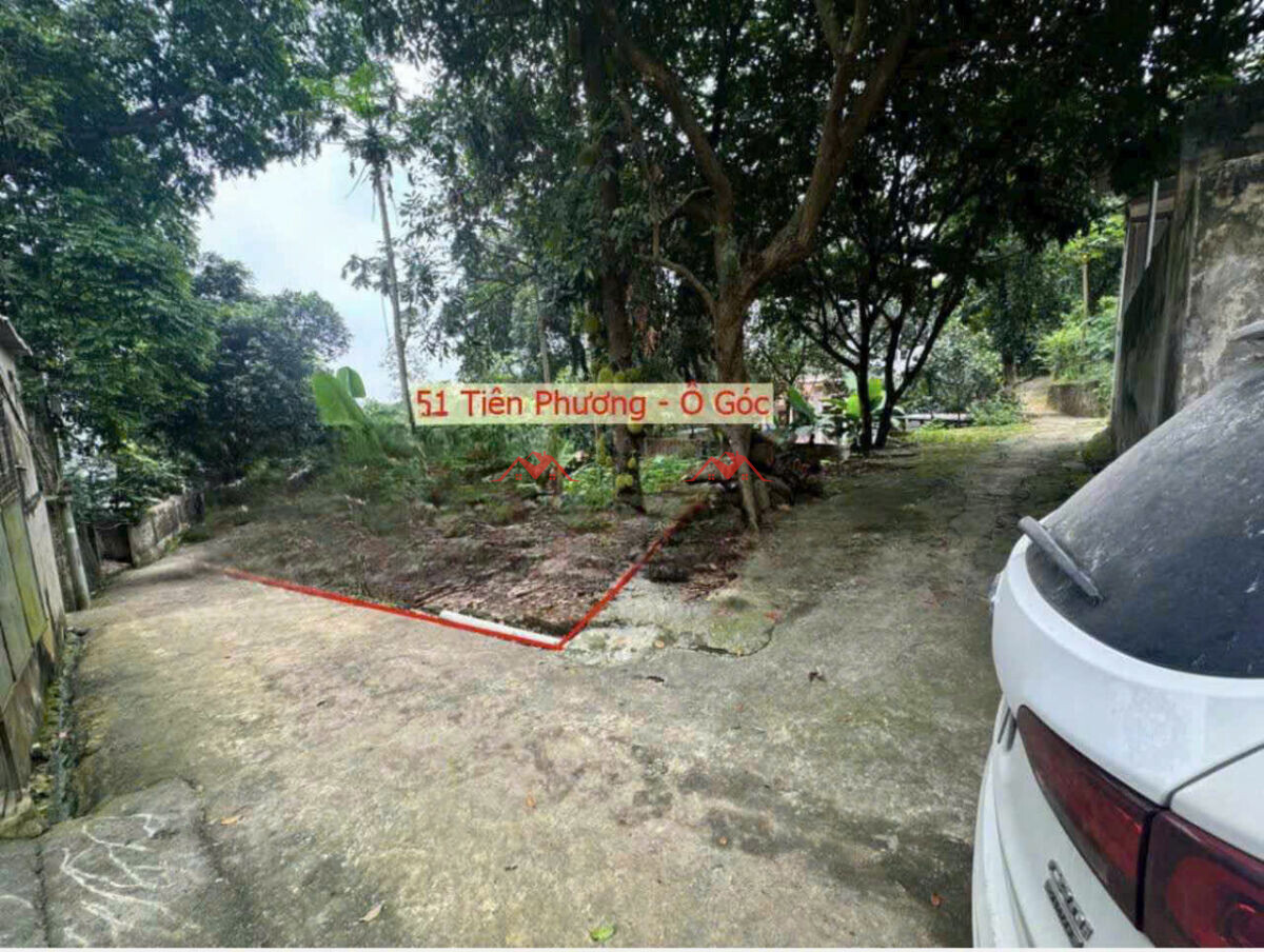 51m Sơn Đồng – Tiên Phương – Chương Mỹ – Hà Nội