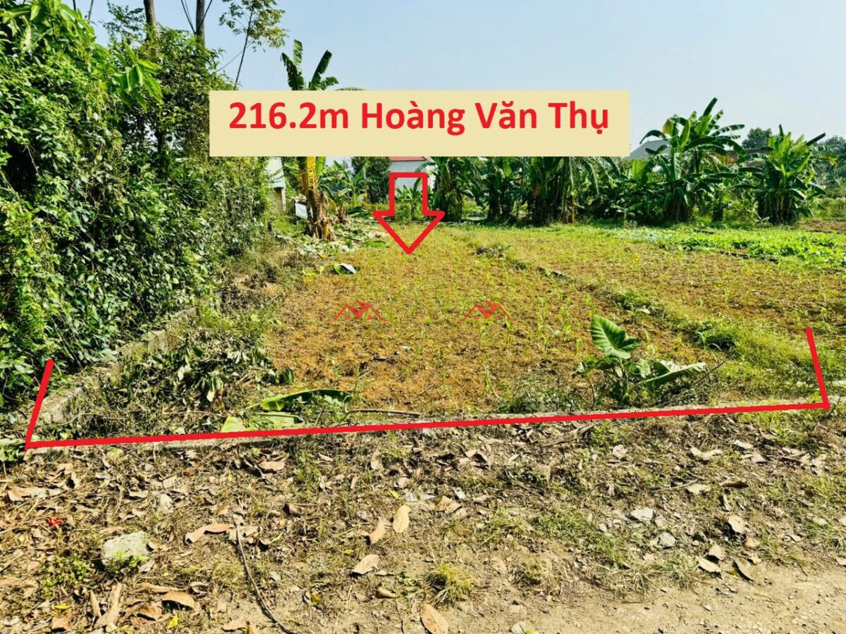 216.2m Văn Sơn – Hoàng Văn Thụ – Chương Mỹ – Hà Nội