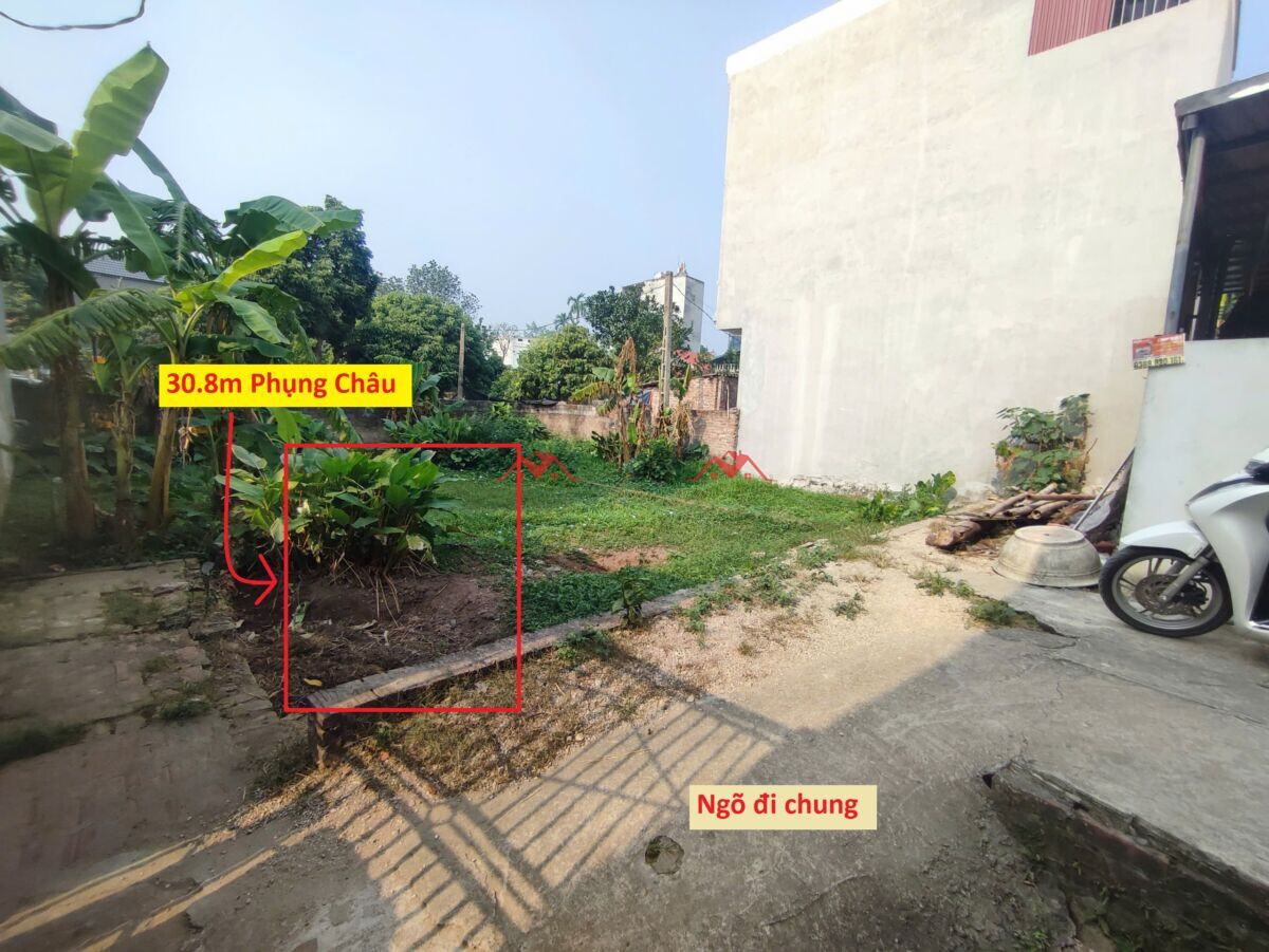 30.8m Phượng Nghĩa – Phụng Châu – Chương Mỹ – Hà Nội