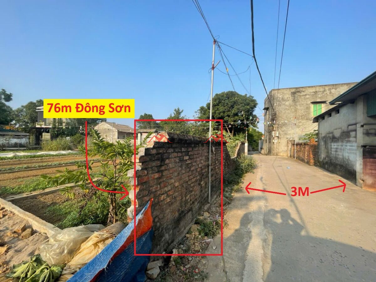 76m Thanh Trì – Đông Sơn – Chương Mỹ – Hà Nội