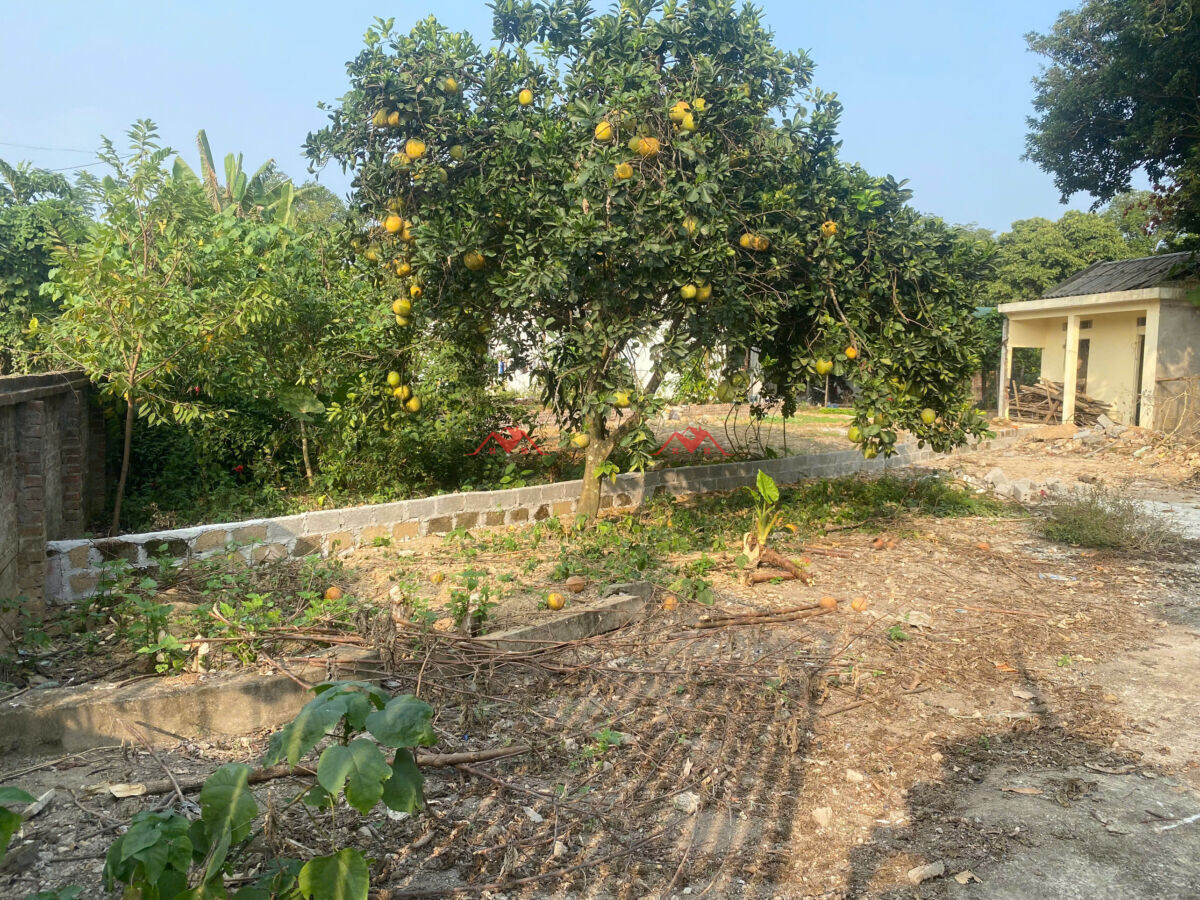 181m Nhuận Trạch – Lương Sơn – Hoà Bình