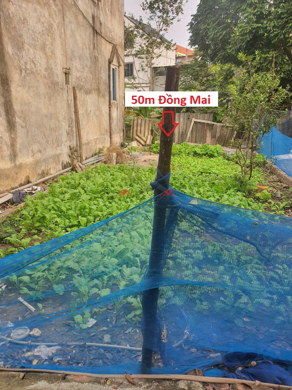 50m Tổ 17 – Đồng Mai – Hà Đông – Hà Nội