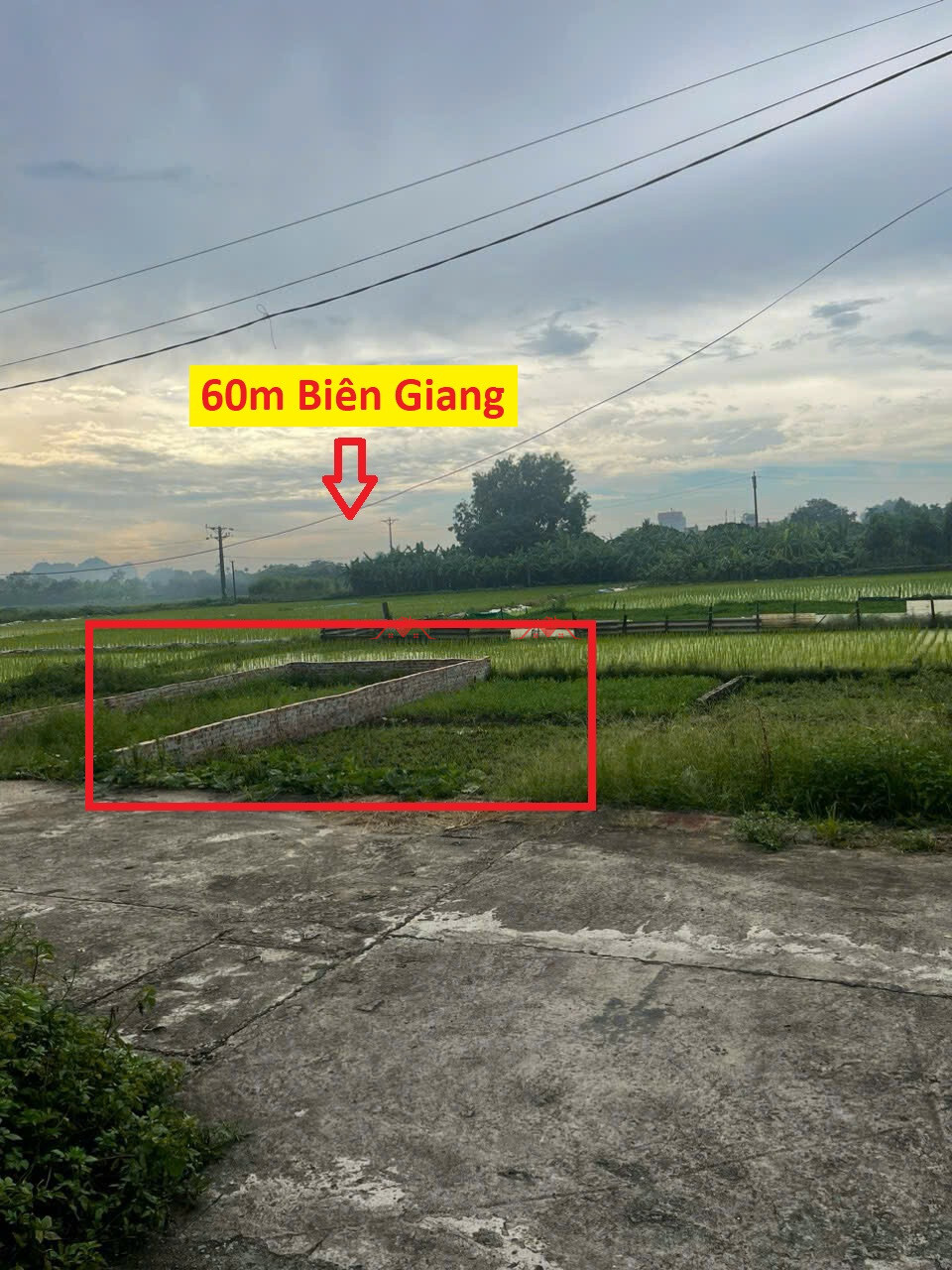 60m2 Khu đấu giá Phúc Tiến – Biên Giang – Hà Đông
