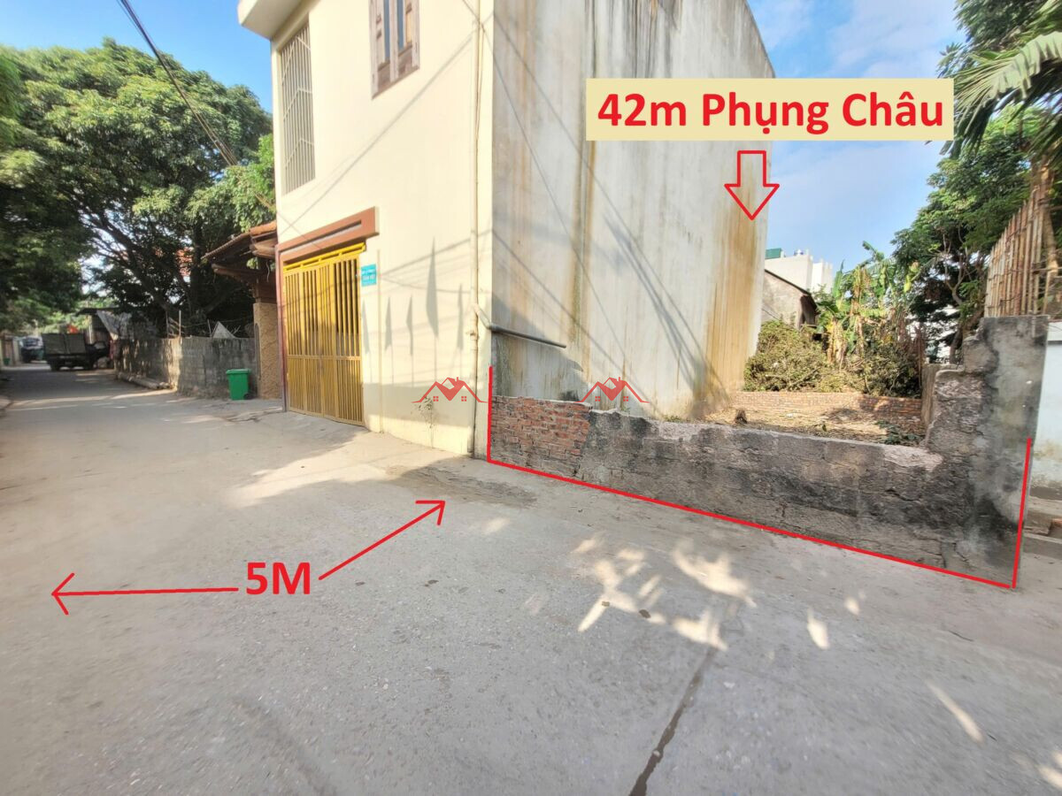 42m Phượng Đồng – Phụng Châu – Chương Mỹ – Hà Nội