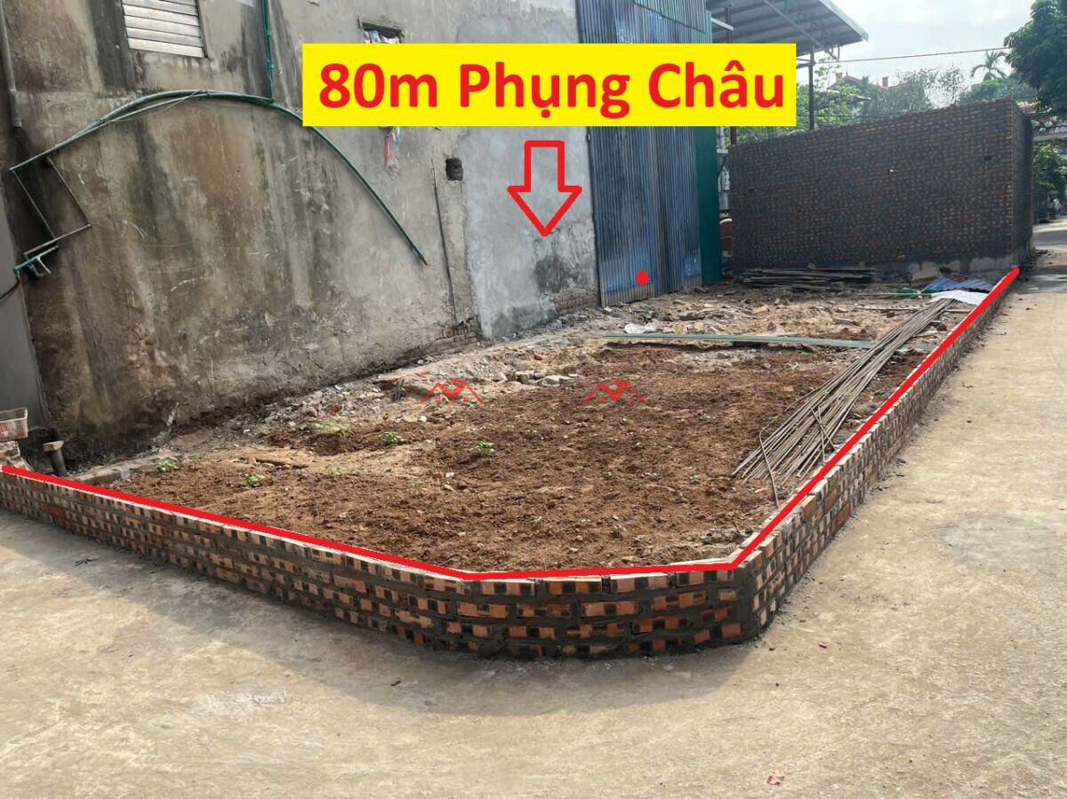 80m Phượng Đồng – Phụng Châu – Chương Mỹ – Hà Nội