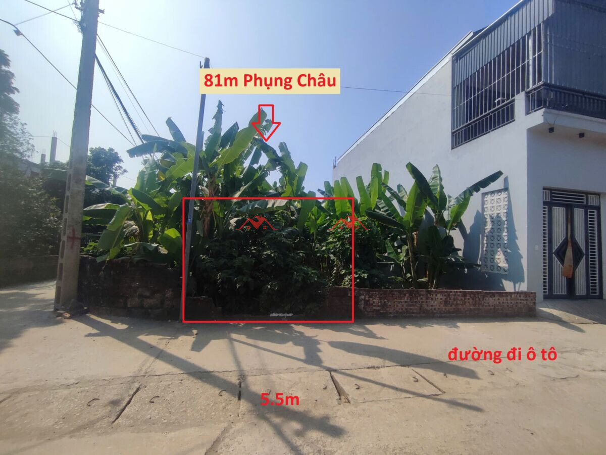 81m Phượng Đồng – Phụng Châu – Chương Mỹ – Hà Nội