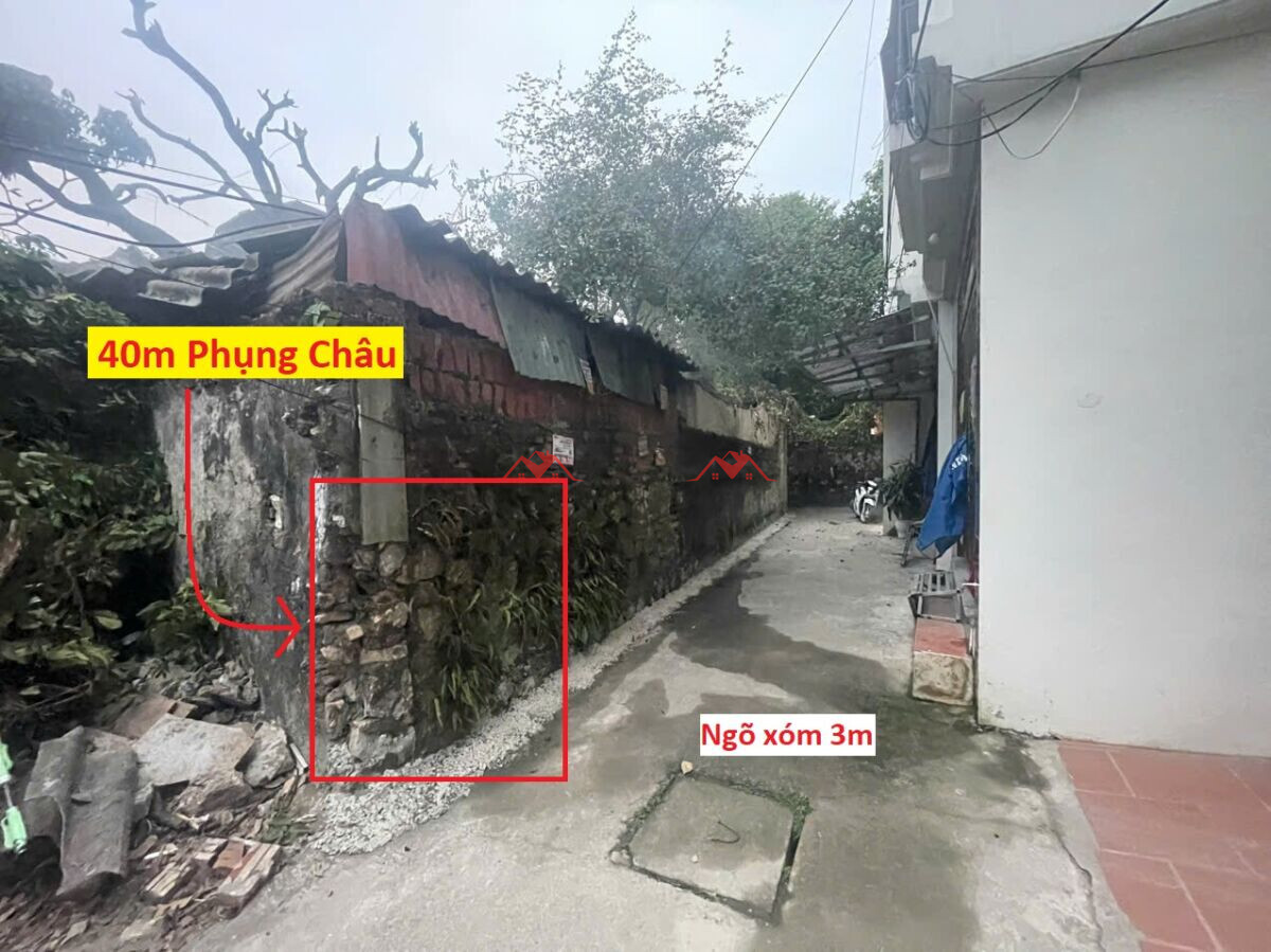 40m Xóm San – Phụng Châu – Chương Mỹ – Hà Nội