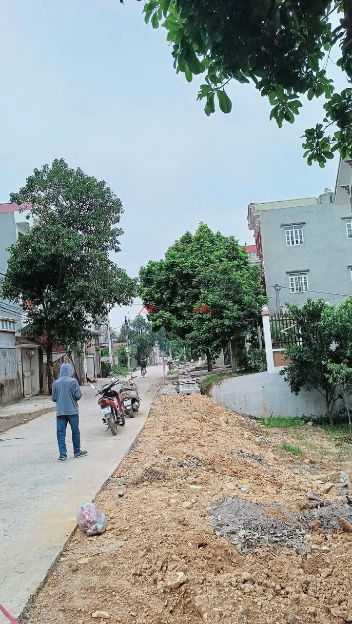 100m Thôn Trung – Thượng Vực – Chương Mỹ – Hà Nội