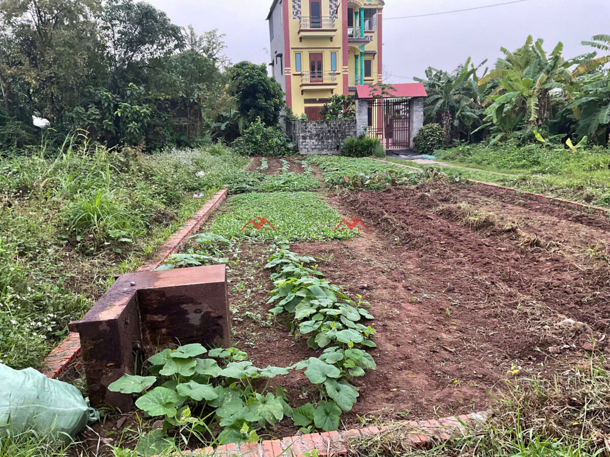 95m Làng Hạ – Hoàng Diệu – Chương Mỹ – Hà Nội