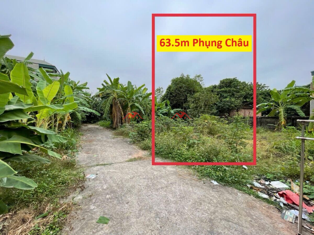 63.5m Phượng Đồng – Phụng Châu – Chương Mỹ – Hà Nội